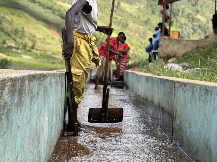 Burundi Shikankoni 15 - Image 2