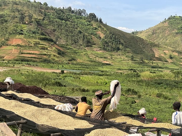 Burundi Shikankoni 15 - Image 3