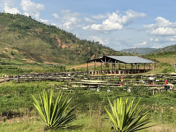 Burundi Shikankoni 15 - Image 5