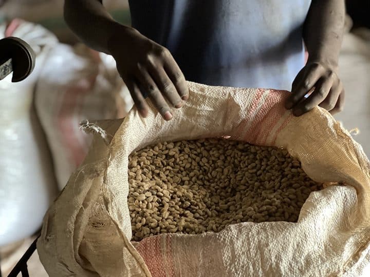 Burundi Shikankoni 15 - Image 6