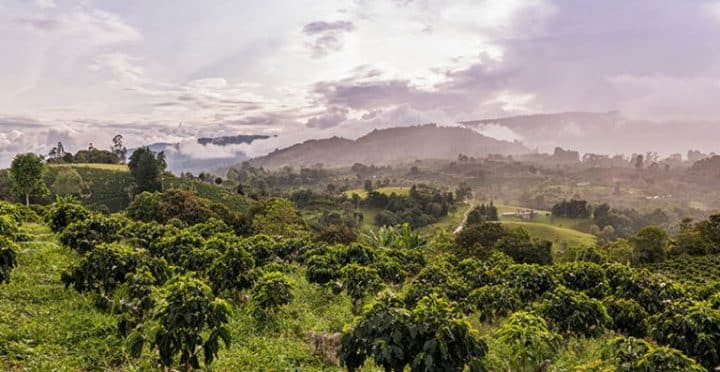 Colombia Special Process Kit - Image 9
