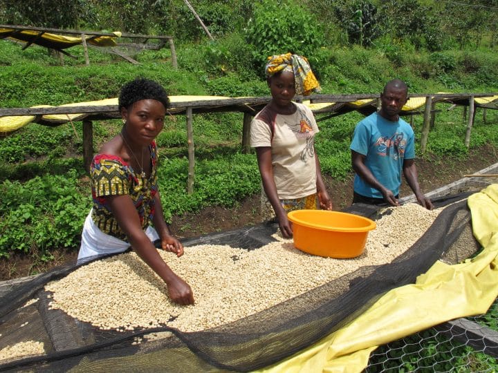 Congo Muungano - Image 4