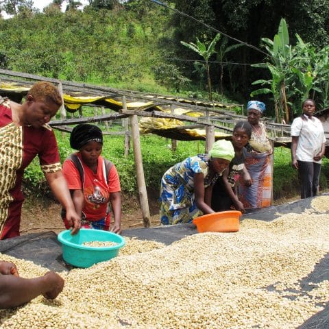 Congo Muungano