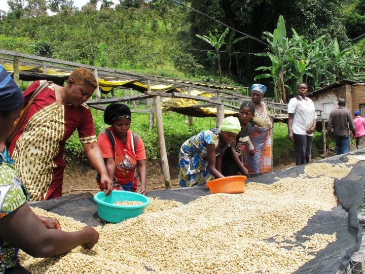 Congo Muungano - Image 2