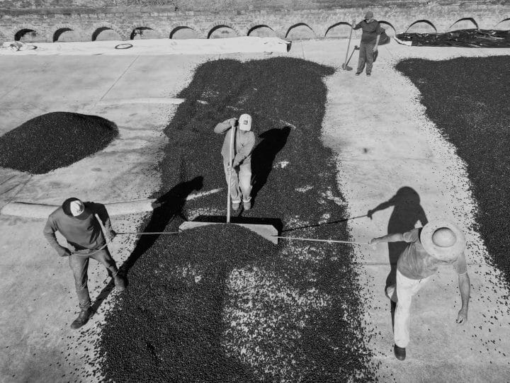 Brazil Felipe Croce - Image 5