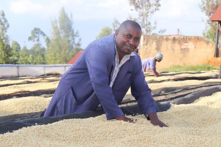 Kenya Kamwangi AA - Image 4