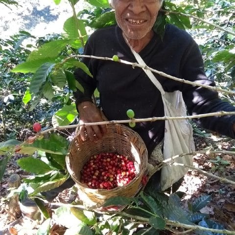 Mexico Oaxaca