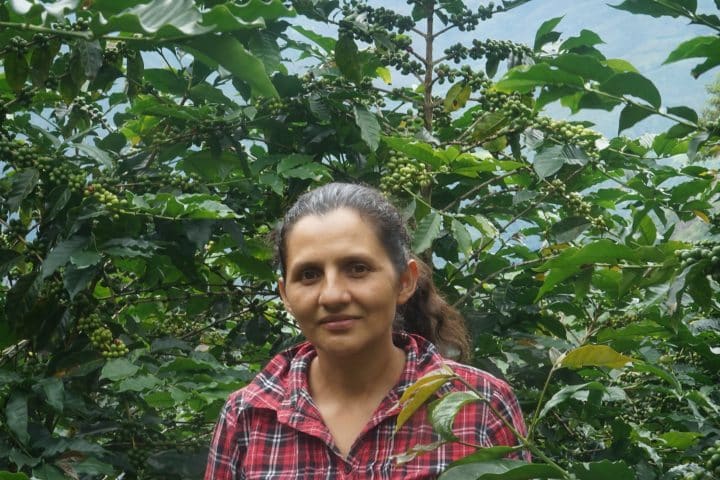 Peru La Naranja - Image 3