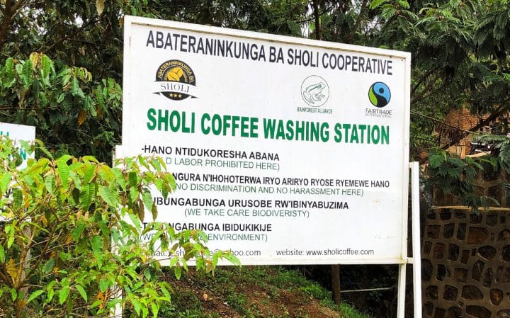 Rwanda Sholi Washed - Image 3