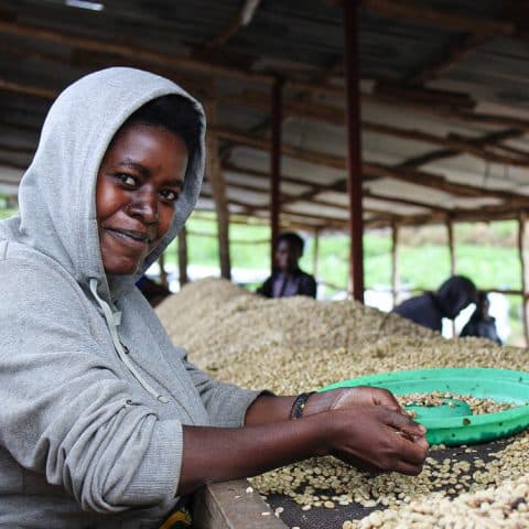 Rwanda Sholi Natural