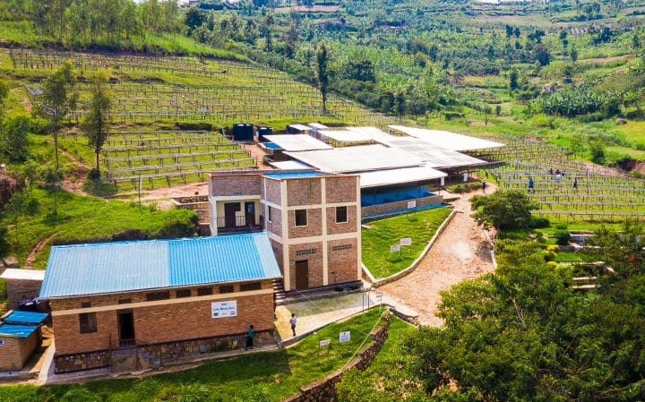 Rwanda Sholi Washed - Image 6