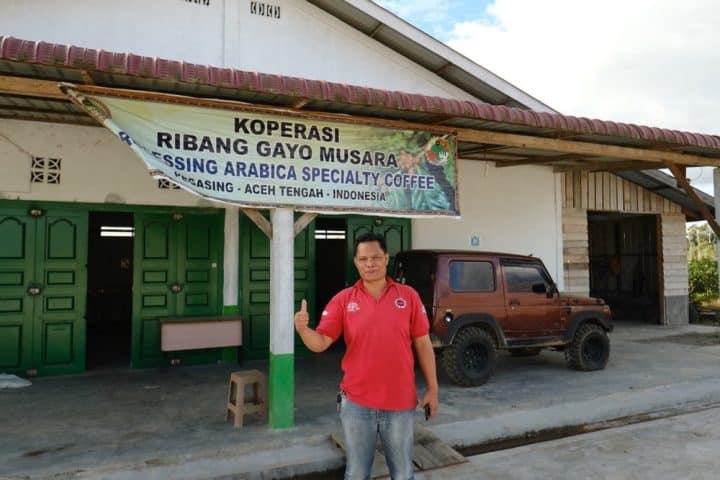 Sumatra Ribang Gayo - Image 3