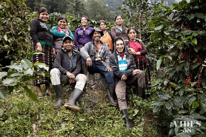 Guatemala Los Pinos - Image 2